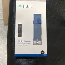 Fitbit charge 2 band