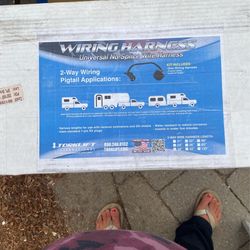 2 Way Wiring Harness