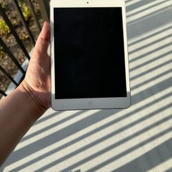 32GB iPad mini