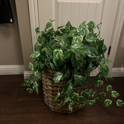 GORGEOUS faux plant