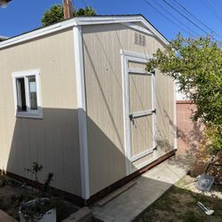 Shed 8x10x8 