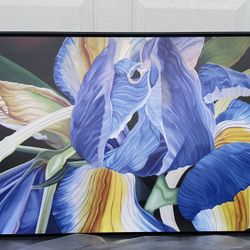 La Fleur de Florence Framed Art 49.5’ X 34’