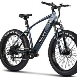 Ebike Walkke