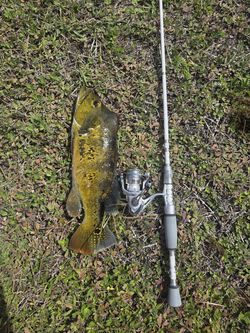 Fishing Rod & Reel