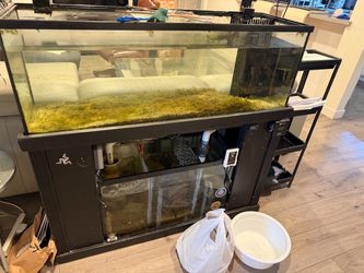 Reef/ Saltwater aquarium tank for sale