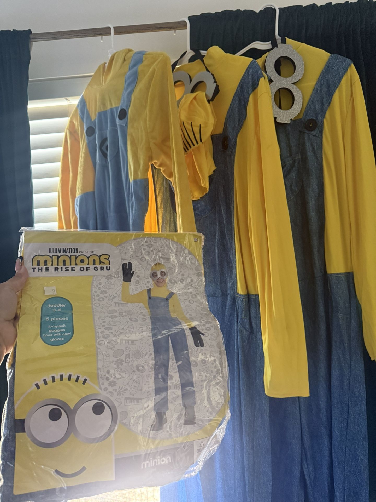 Minions Costumes 