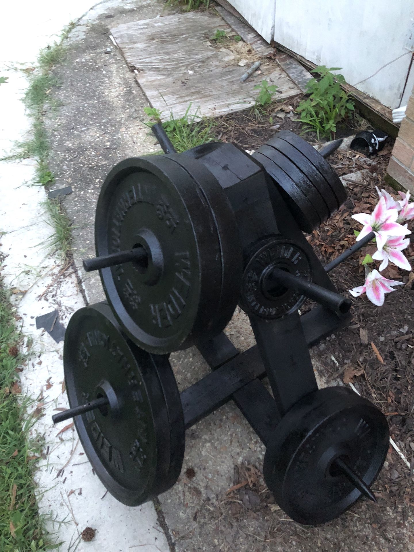 Olympic Weight Plate Set