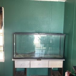 55 Gallon Fish Tank