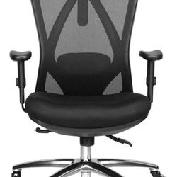 Duramont Ergonomic Office Chair - Adjustable Desk Chair with Lumbar Support and Rollerblade Wheels -