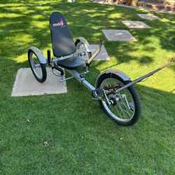 Dog Trike Custom trike