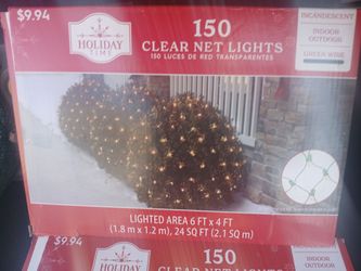 Holiday Time - 150 Clear Mesh Mini Lights Green Wire 6 x 4ft Square
 (Brand New in Box) 
$7 Each box
Pick up Mckinney