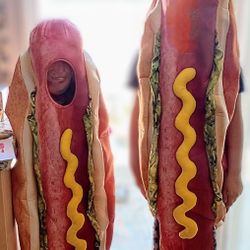 Hotdog Costume