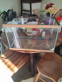 10 gal fishing aquarium