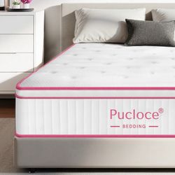 Queen $150 Memory Foam & Pillowtop