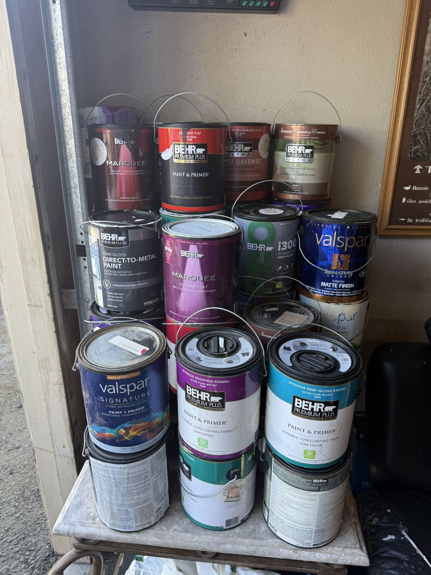 GALLON PAINTS $10