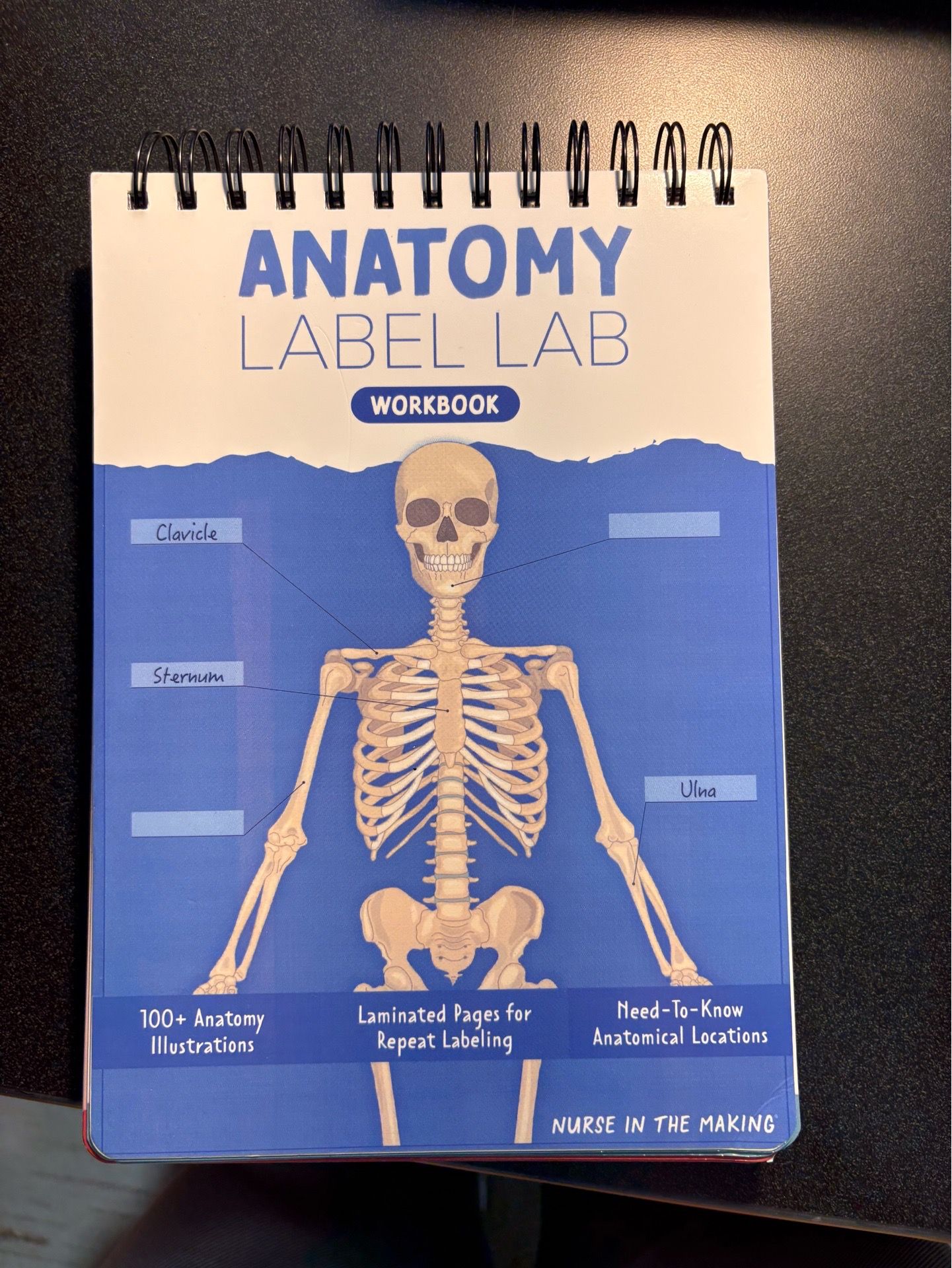 Anatomy Label Lab Workbook for Sale in Fort Lauderdale, FL - OfferUp