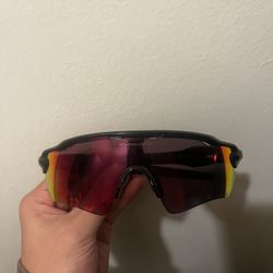 Oakley Glasses Bundle