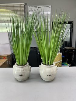 Plant decor