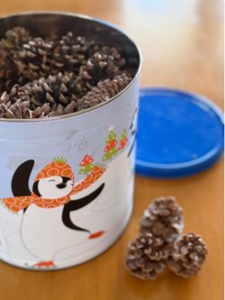 Pine cones and large, decorative tin.
