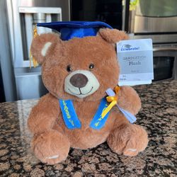 Graduation Plush Teddy Bear  Class Of 2024