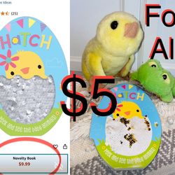 $5 Cute Chick 🐥 & Book Perfect for a Easter 🐣 Basket 🧺 plus a free Frog 🐸 plushie