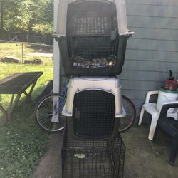 Dog Cage 