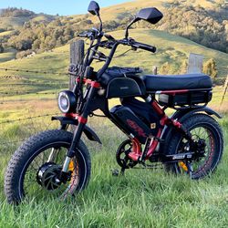 Ariel Rider Grizzly, V1, Dual Motor, Dual Battery