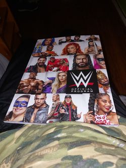Wwe Program Book