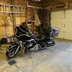 Harley Davidson For Sale 