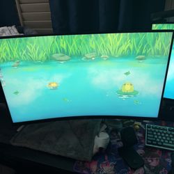 Gaming Monitor - 32 Inch 1440p VA 165hz