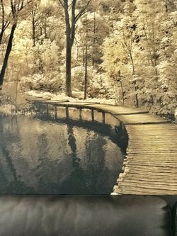 Painting Beautiful Big Size Wall Painting