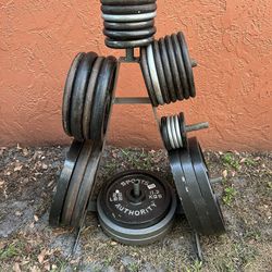 Weight bench And Weights 