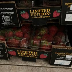 Strawberries Available For animal Feed 