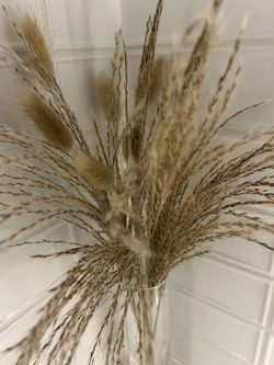 Pampas Vase Glass Decor Centerpieces 