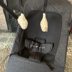 Baby Delight Bouncer