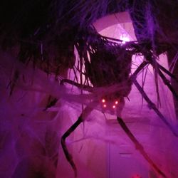 Giant Spider Halloween Decoration 