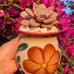 Sunday Small Plant Sale 