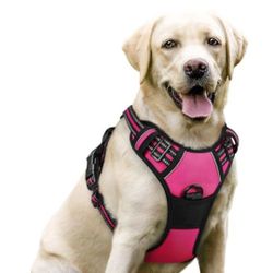 rabbitgoo Dog Harness No Pull with 2 Leash Clips, Adjustable Soft Padded, Reflective Oxford No Choke Pet Vest with Easy Control Handle for Large Dogs,