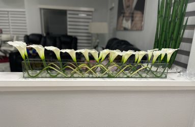 Moderna Lilies Arrangement in Planter