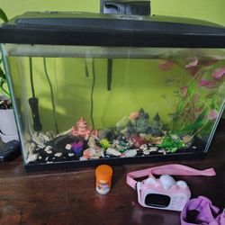 Fish Tank And Fishs