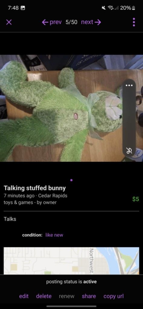 Talking Stuffed Bunny