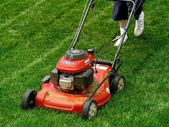 Need Your Lawn Mowed?