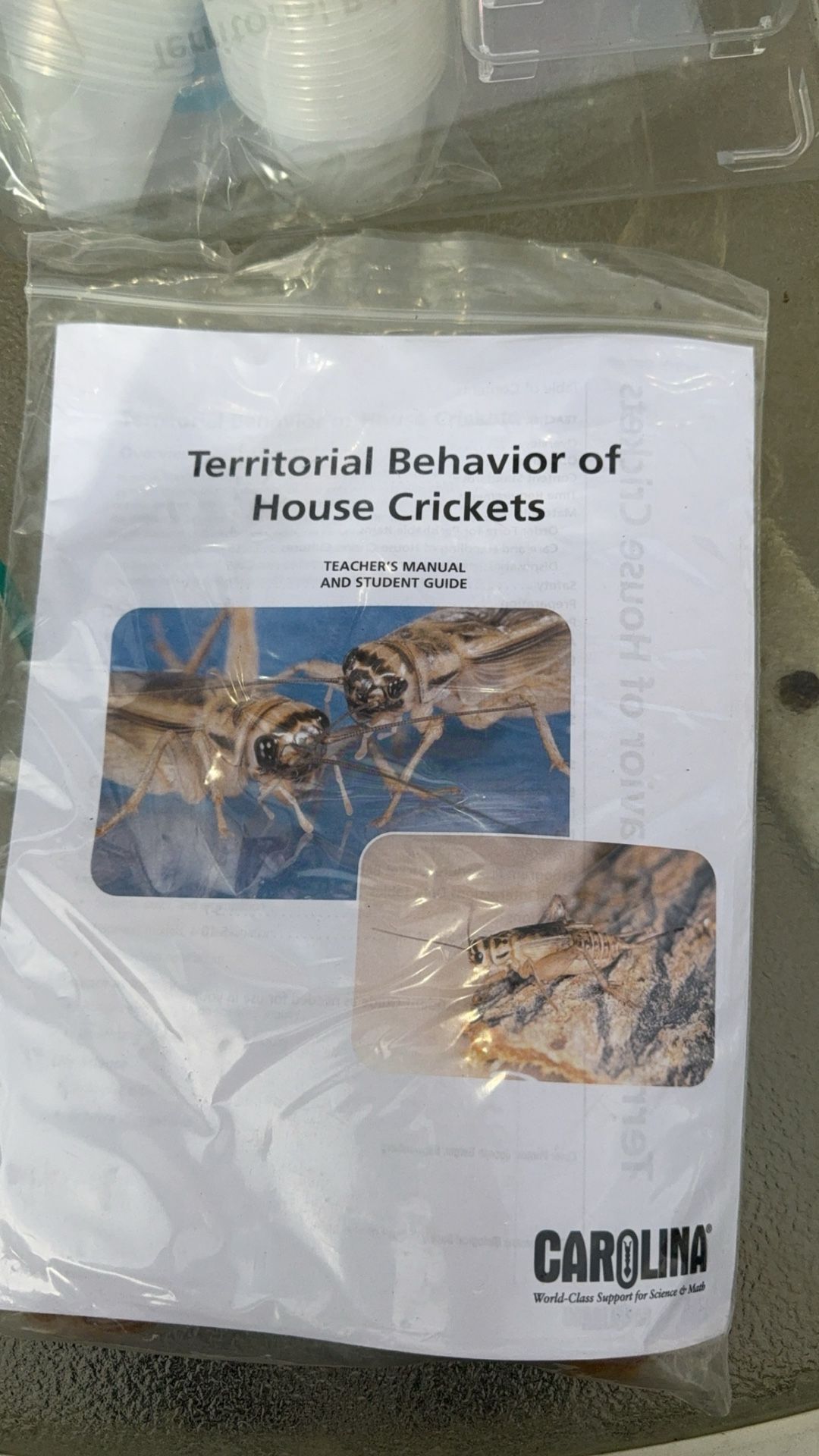 How To Raise Crickets Kit