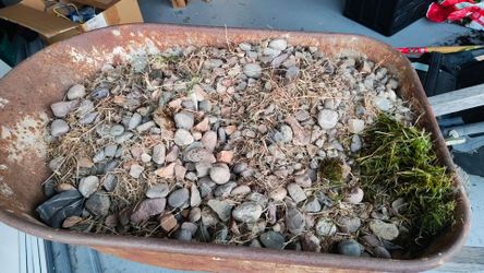 Free Rocks