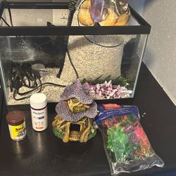 5 Gallon Fish Tank and Supplies