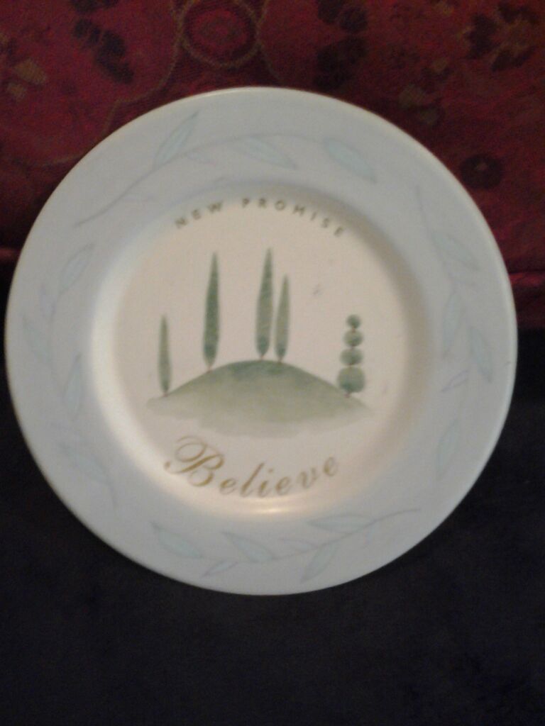 Plate