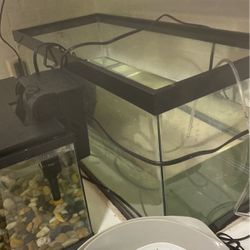 30 Gallon Fish Tank And Filter
