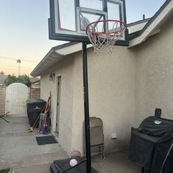 Basketball Hoop 🏀🗑️