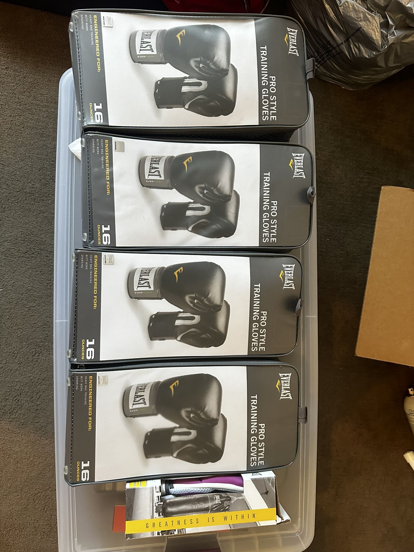 Lot of BRAND NEW Everlast Boxing Gloves With a Couple Of Extras Included