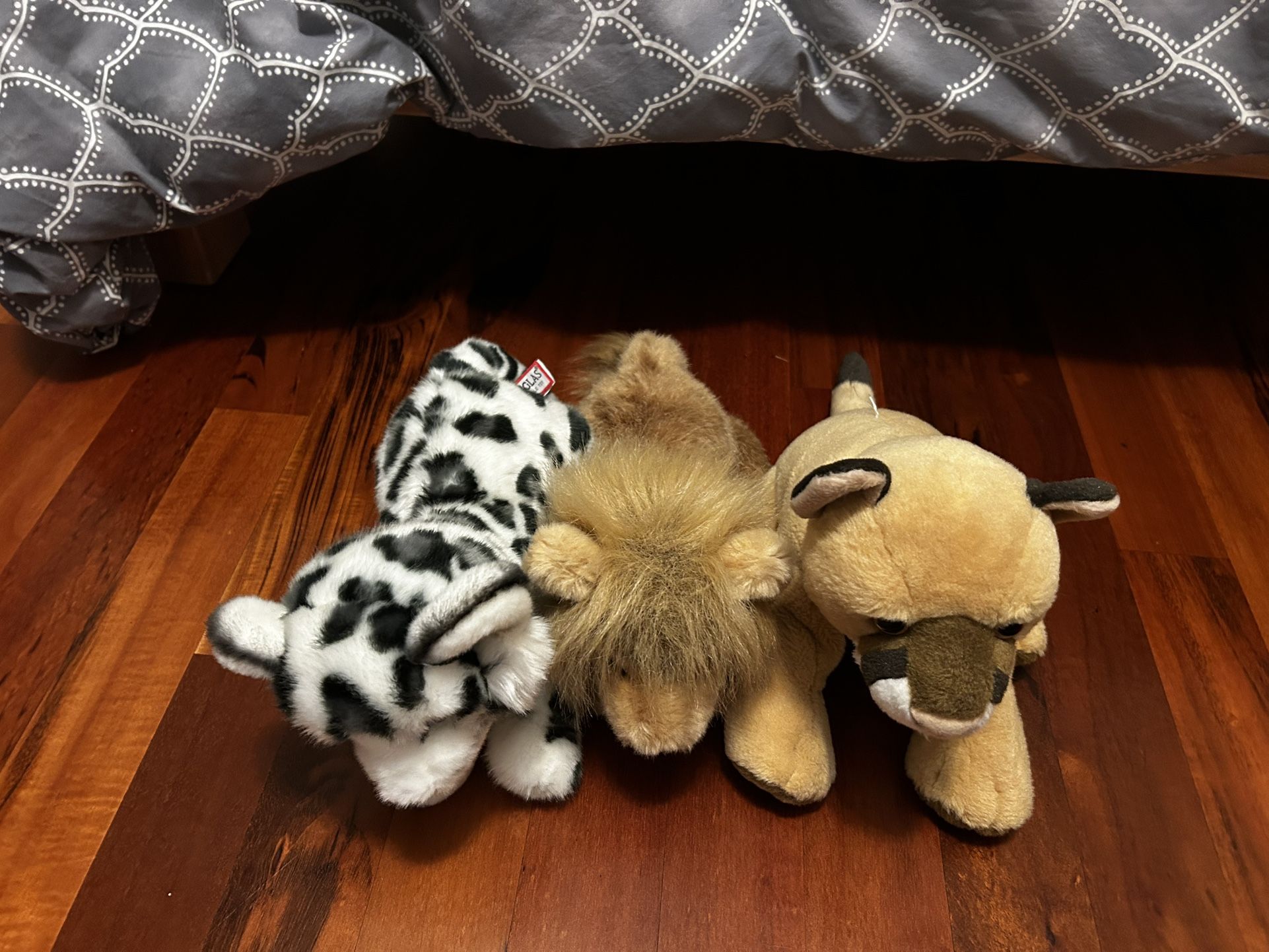 Wild Cat Stuffies